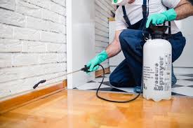 Best Residential Pest Control  in Keasbey, NJ